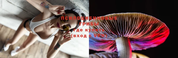 ГАЛЛЮЦИНОГЕННЫЕ ГРИБЫ Аркадак