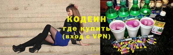 ГАЛЛЮЦИНОГЕННЫЕ ГРИБЫ Аркадак