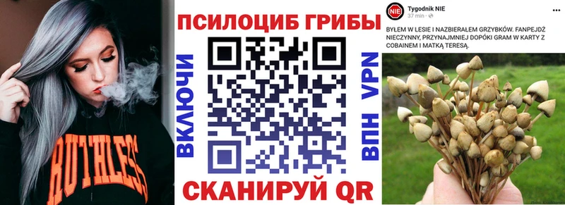 Галлюциногенные грибы мухоморы  МЕГА как зайти  Балтийск 